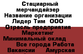 Стациарный мерчандайзер › Название организации ­ Лидер Тим, ООО › Отрасль предприятия ­ Маркетинг › Минимальный оклад ­ 23 000 - Все города Работа » Вакансии   . Амурская обл.,Архаринский р-н